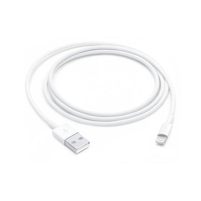 Cable Original iPhone iPad Lightning a USB 1 metro - Compro Apple